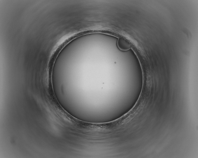 X0000113151270200909181743