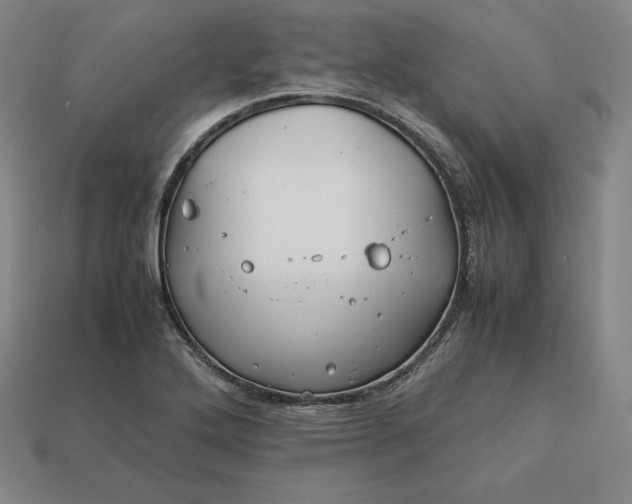 X0000113151272200909181743