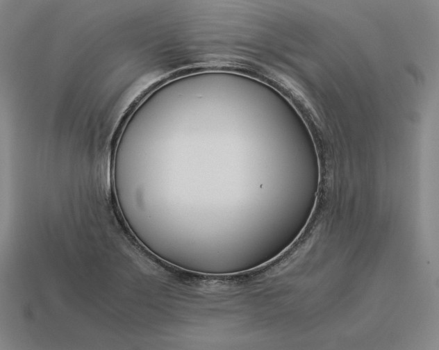 X0000113151275200909181743