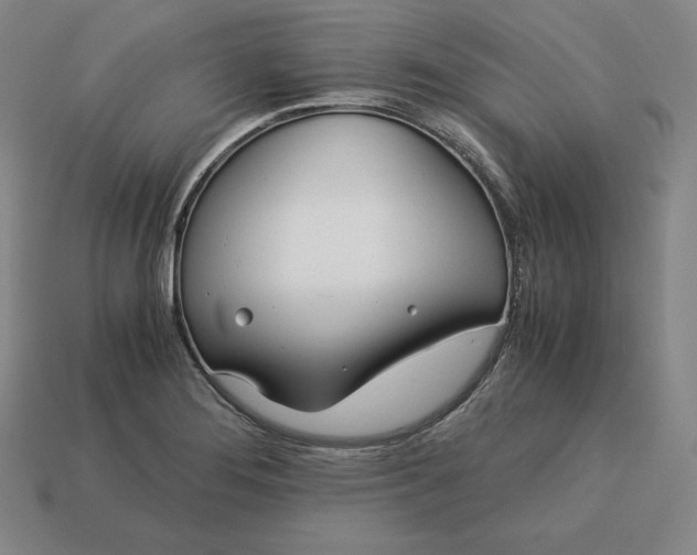 X0000113151276200909181743