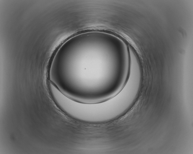 X0000113151277200909181743