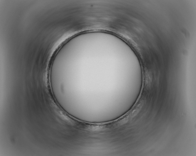 X0000113151278200909181743