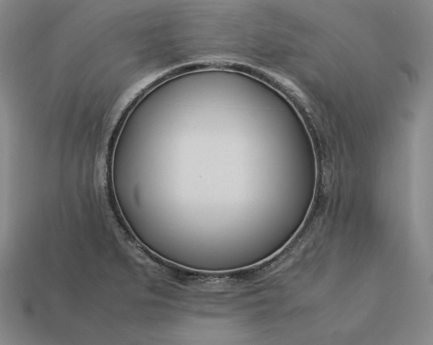 X0000113151279200909181743