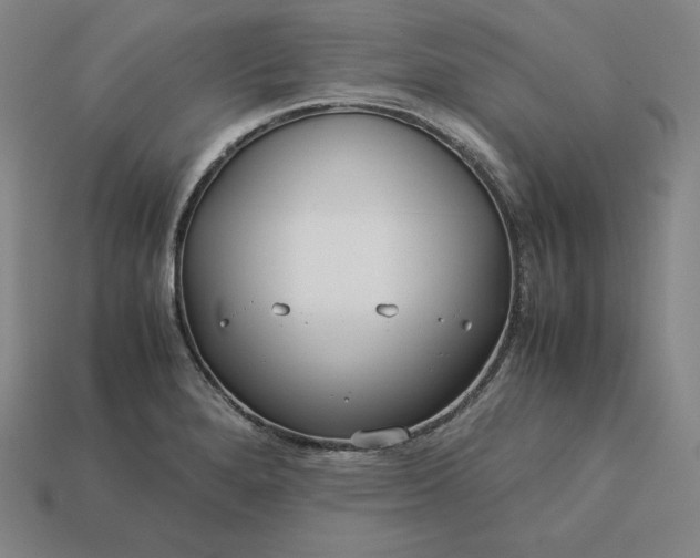 X0000113151280200909181743