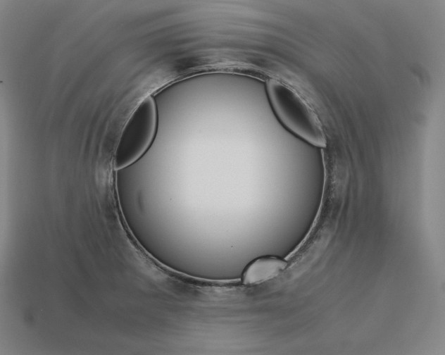 X0000113151281200909181743