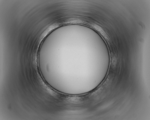 X0000113151282200909181743