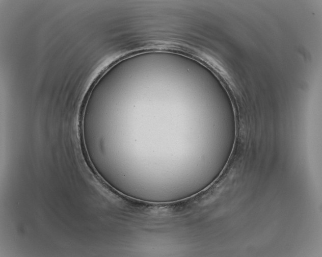 X0000113151283200909181743