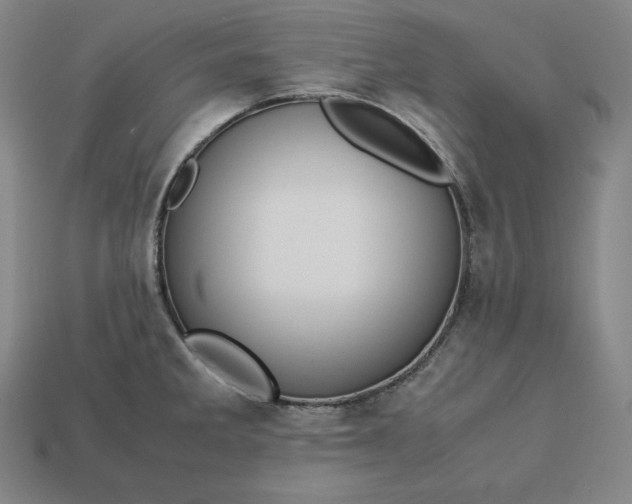 X0000113151285200909181743