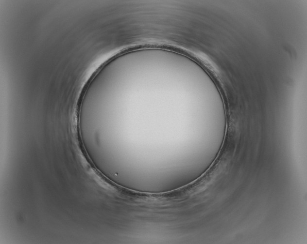 X0000113151287200909181743