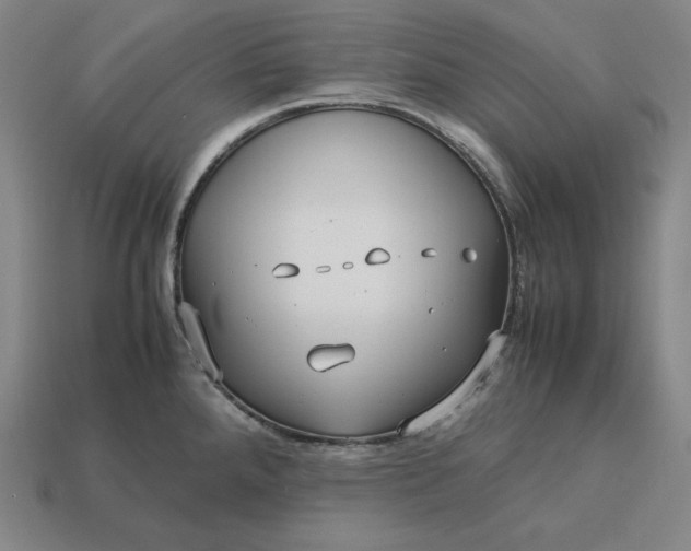 X0000113151288200909181743