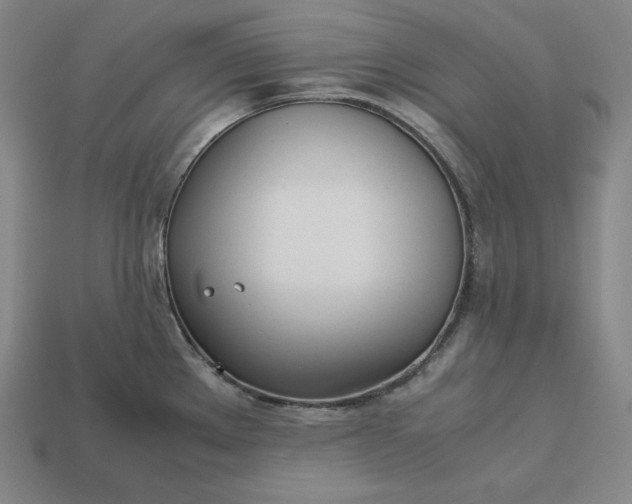 X0000113151289200909181742