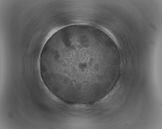 X0000113151291200909181742