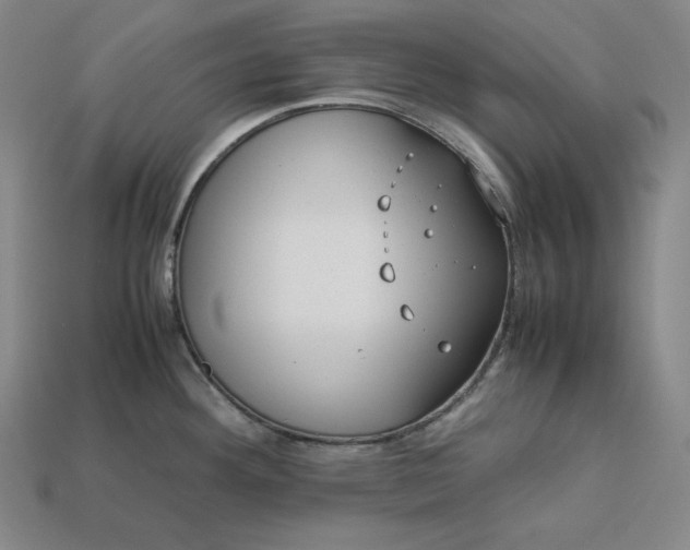 X0000113151292200909181742