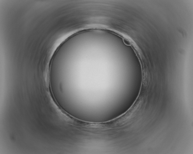 X0000113151295200909181742