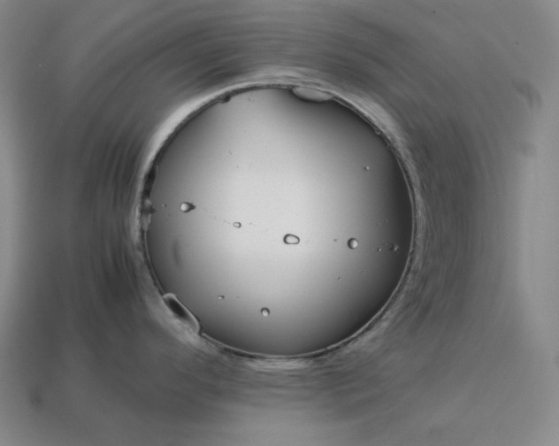 X0000113151296200909181742