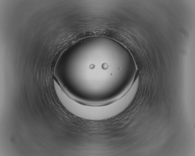 X0000113151298200909181742