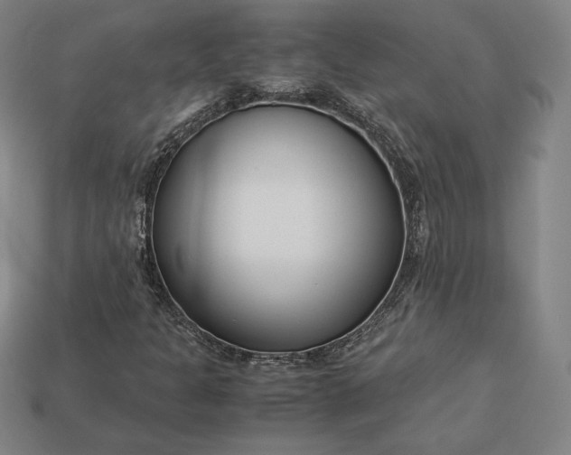 X0000113151301200909181742