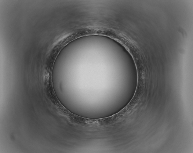 X0000113151302200909181742