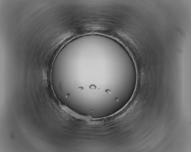 X0000113151305200909181742