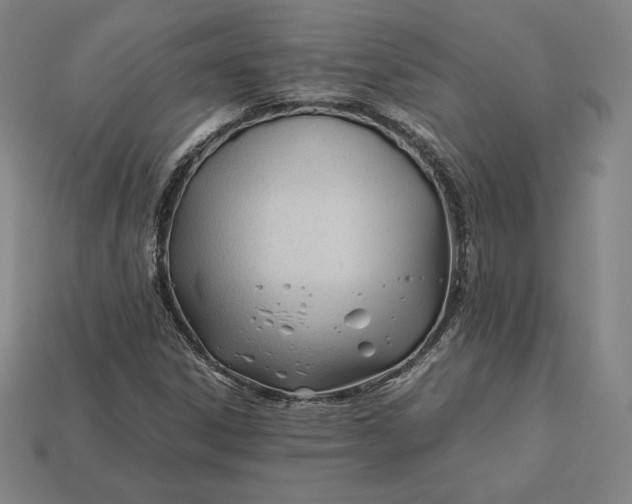 X0000113151306200909181742