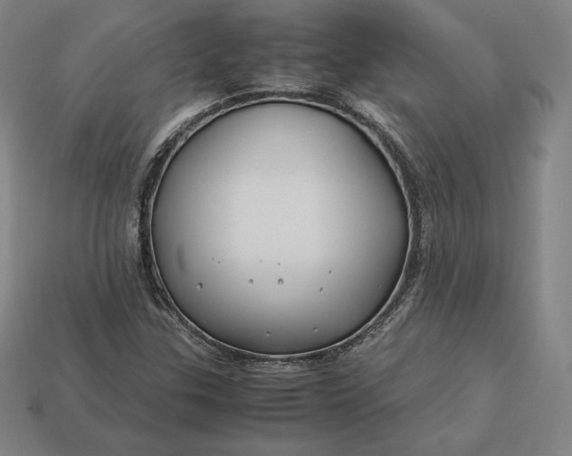 X0000113151307200909181742