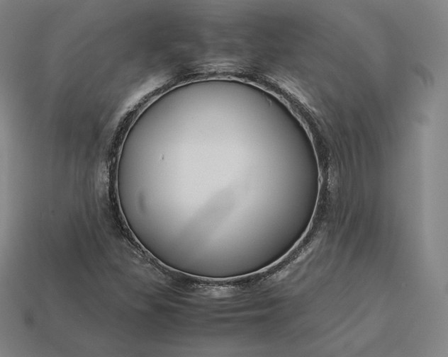 X0000113151309200909181742