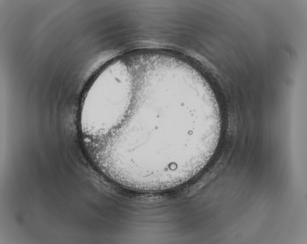 X0000113151314200909181742