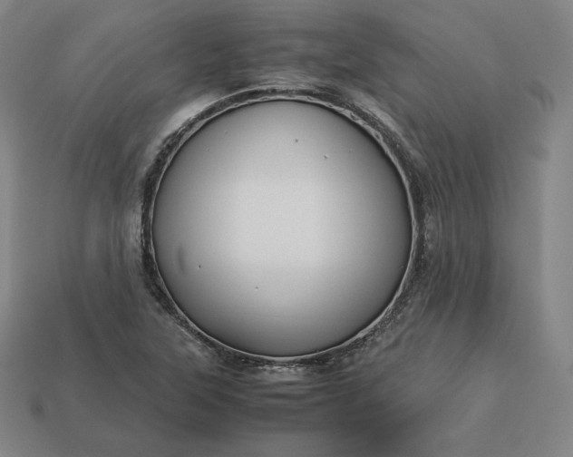 X0000113151315200909181742