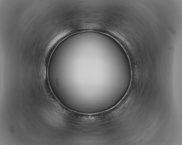 X0000113151317200909181742