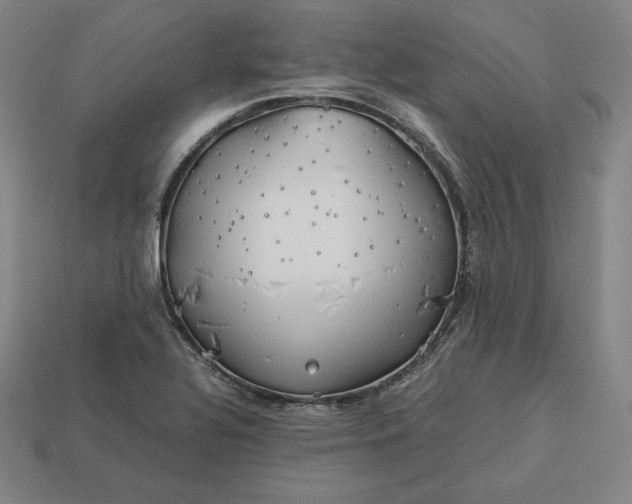 X0000113151320200909181742