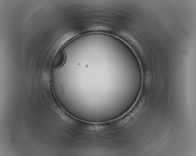 X0000113151321200909181742