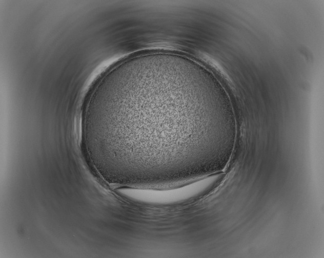 X0000113151323200909181742