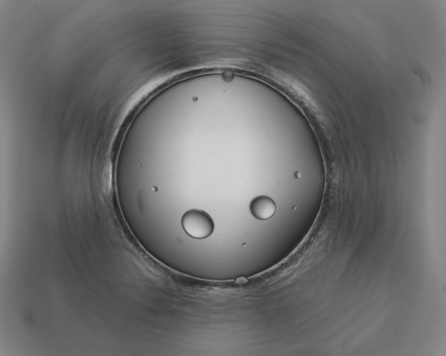 X0000113151324200909181742