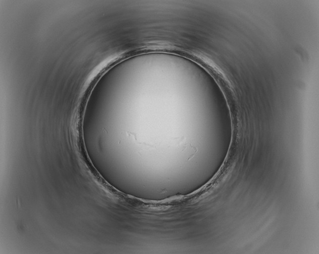 X0000113151325200909181742