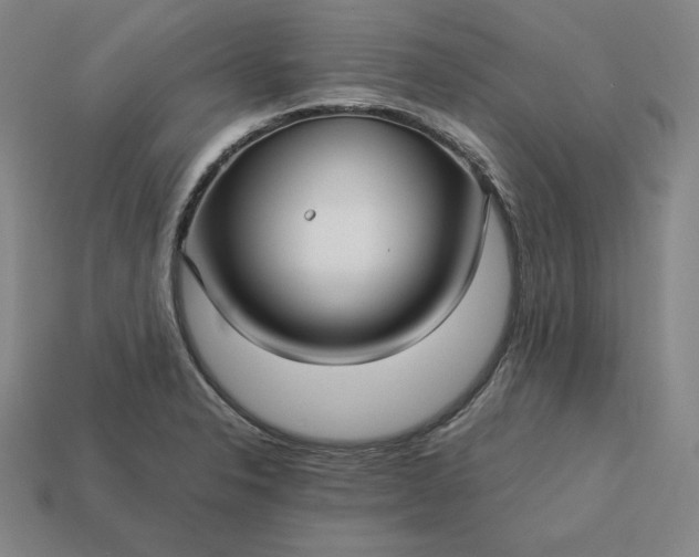 X0000113151326200909181742