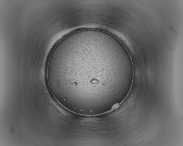 X0000113151327200909181742