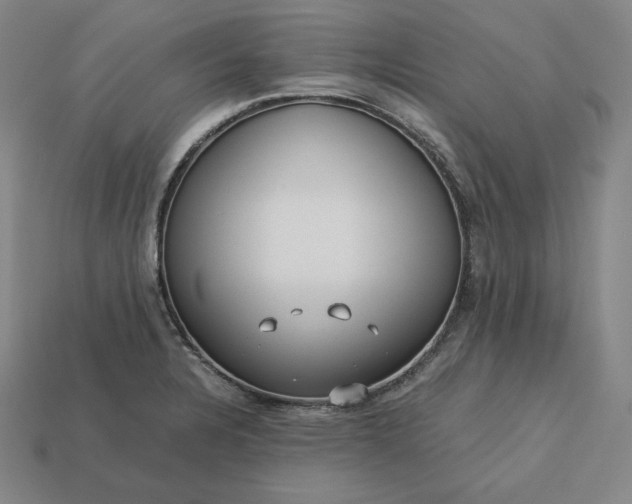 X0000113151328200909181742