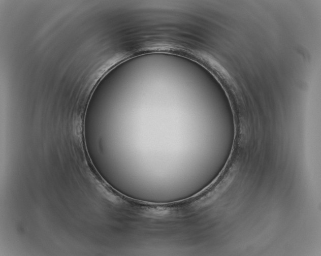 X0000113151329200909181742