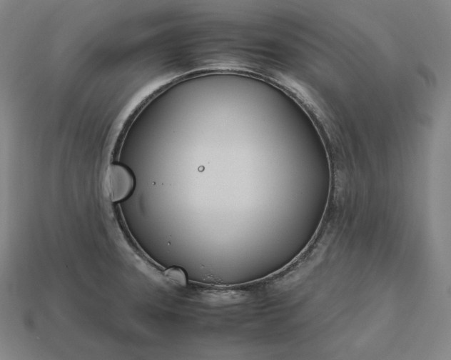 X0000113151331200909181742