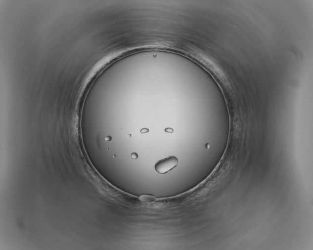 X0000113151332200909181742