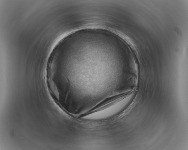 X0000113151334200909181742