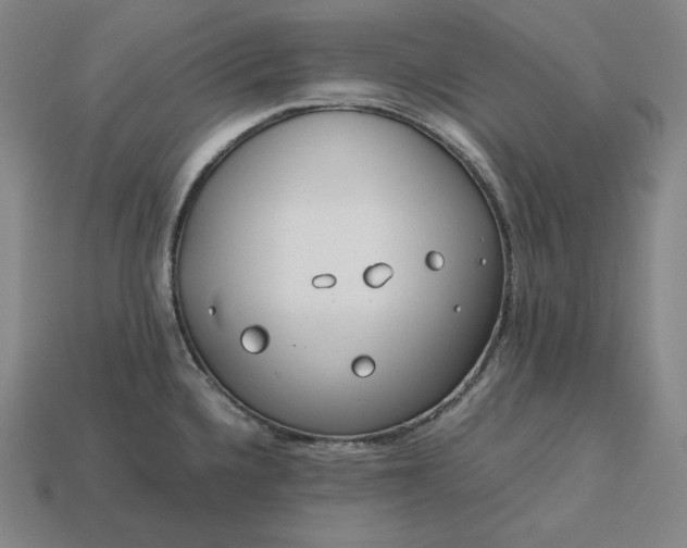 X0000113151336200909181742