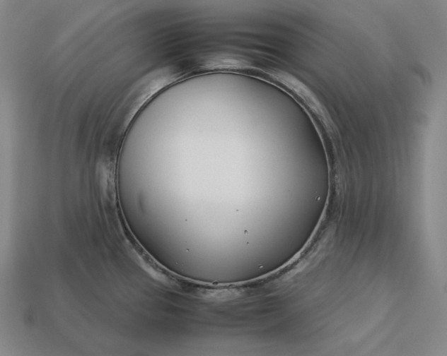 X0000113151337200909181742