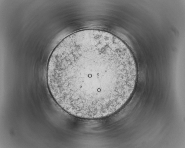 X0000113151338200909181742