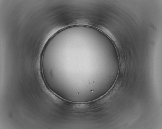 X0000113151339200909181742