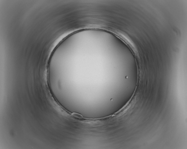 X0000113151340200909181742