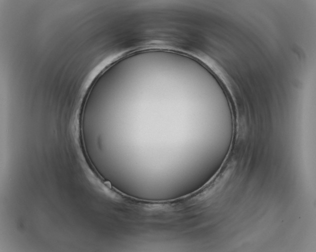 X0000113151341200909181742