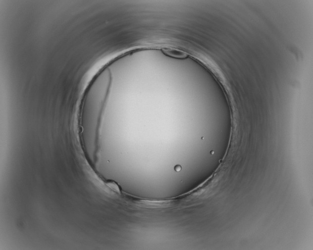 X0000113151344200909181742