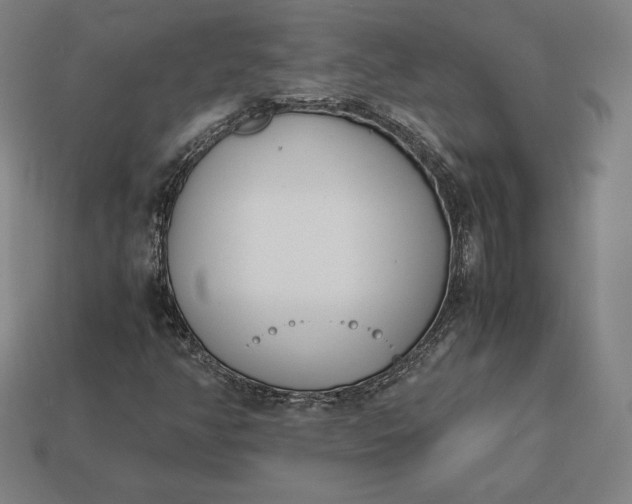 X0000113151350200909181742