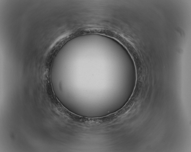 X0000113151351200909181742